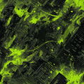 Toxic Drift – MANGA Arc Distortion Series